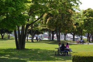 shibafu bench